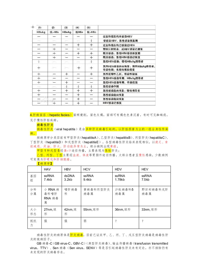 1-01-病毒性肝炎