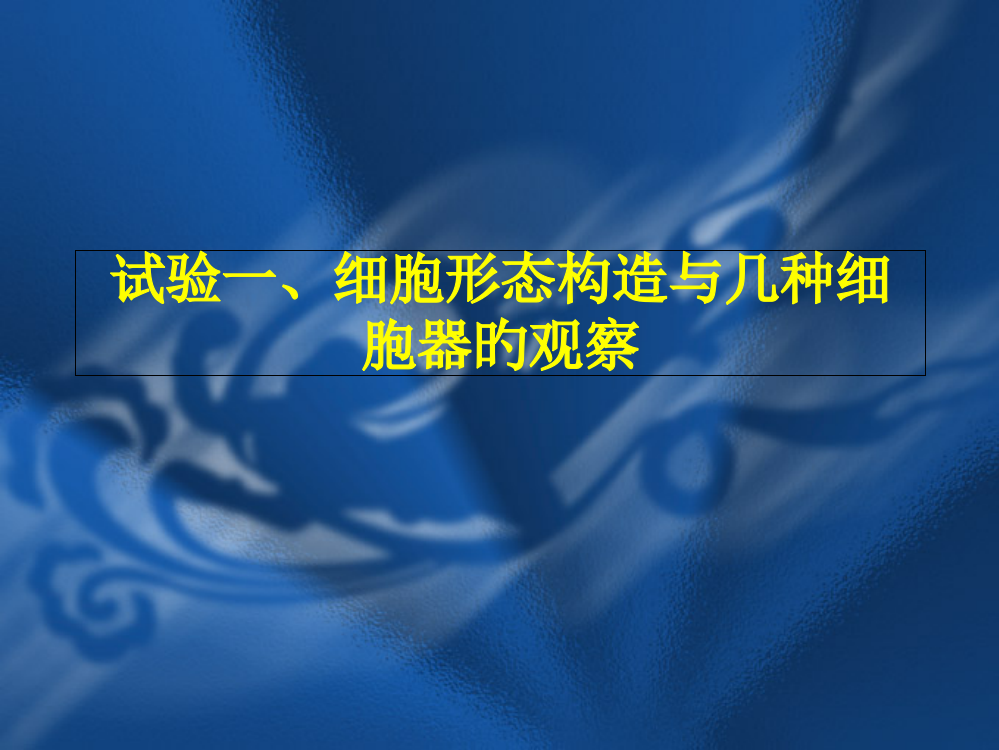 实验一细胞形态结构与几种