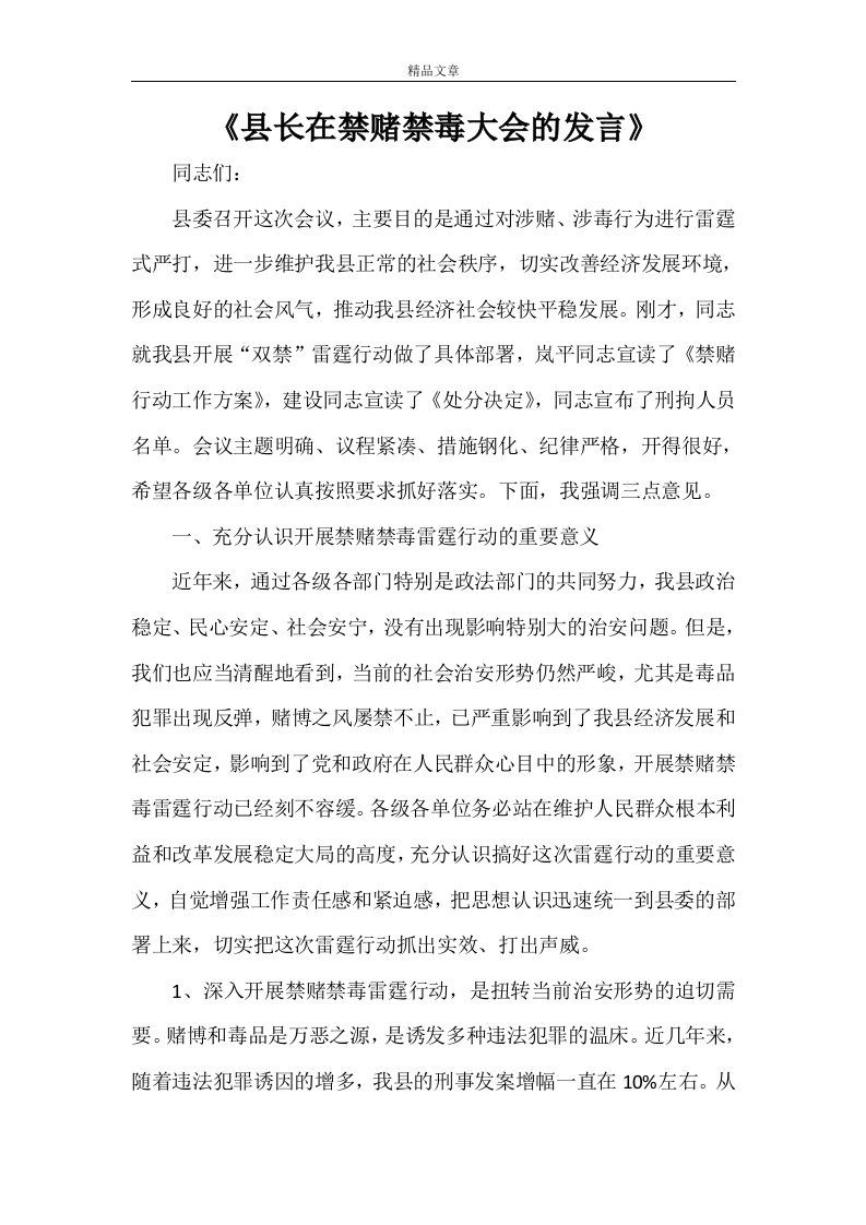 《县长在禁赌禁毒大会的发言》