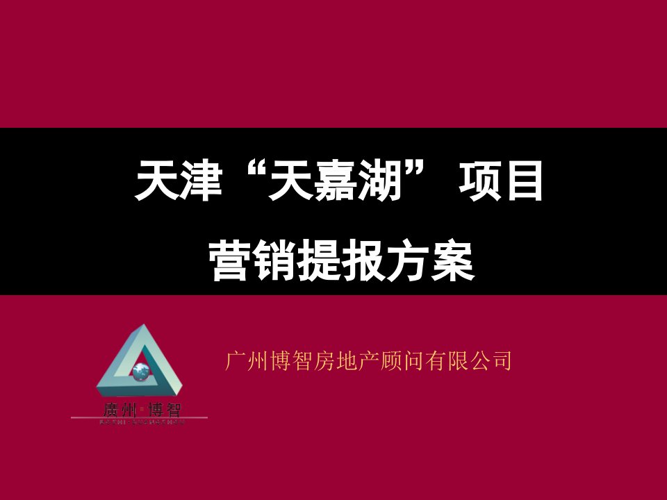 天津天嘉湖房地产项目营销策划方案