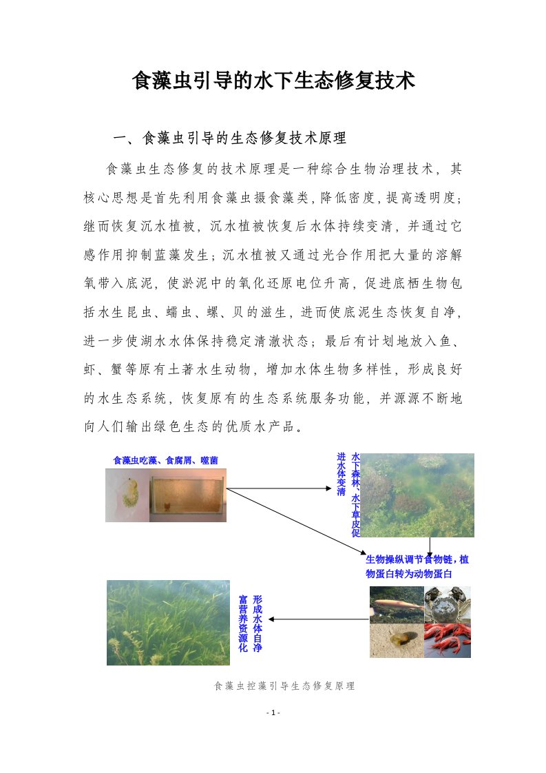 食藻虫引导的水下生态修复技术