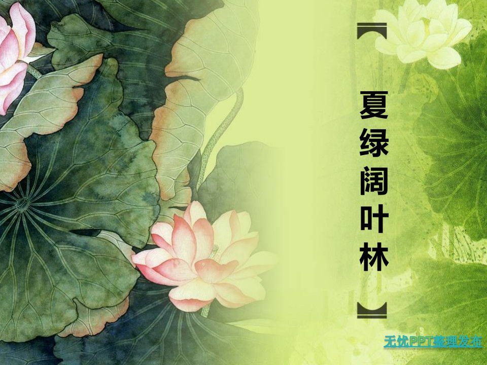 夏绿阔叶林教学课件