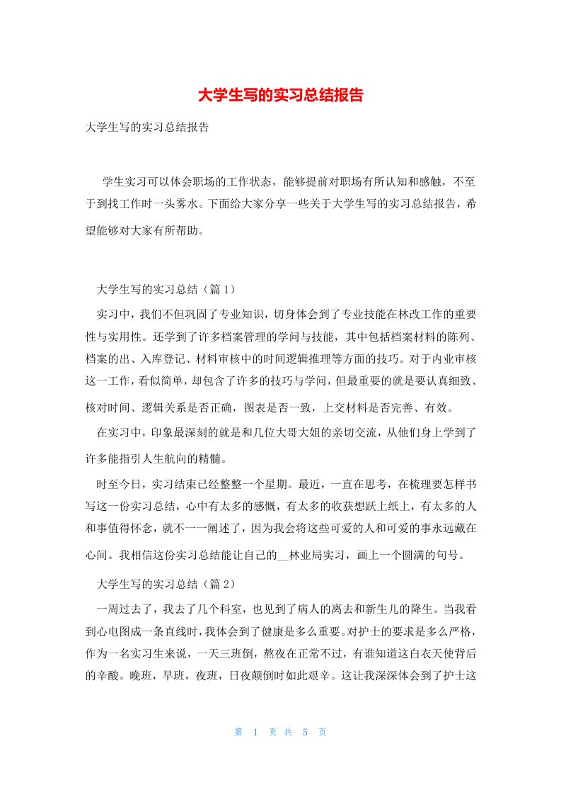 大学生写的实习总结报告