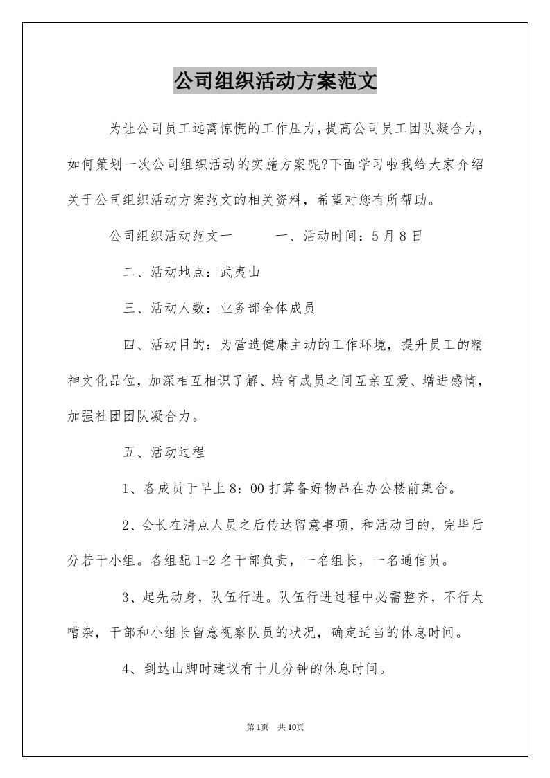 公司组织活动方案范文_1