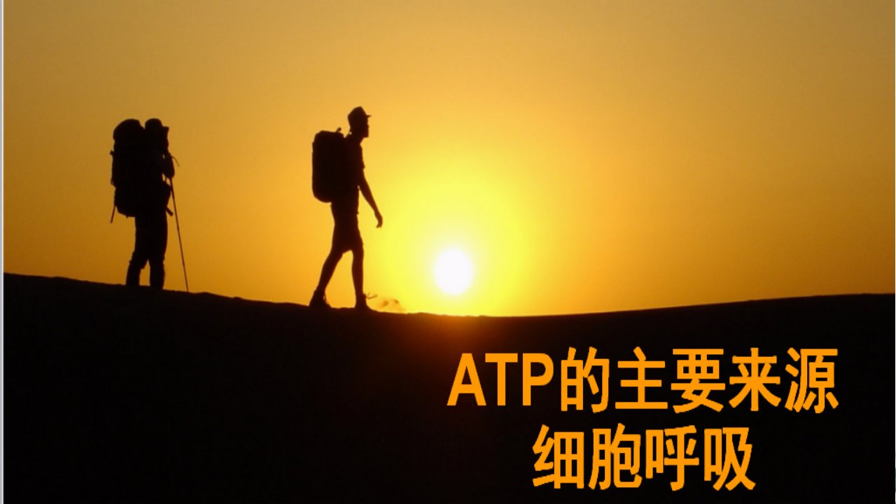 高考一轮复习人教版生物必修一《ATP的主要来源细胞呼吸》ppt课件