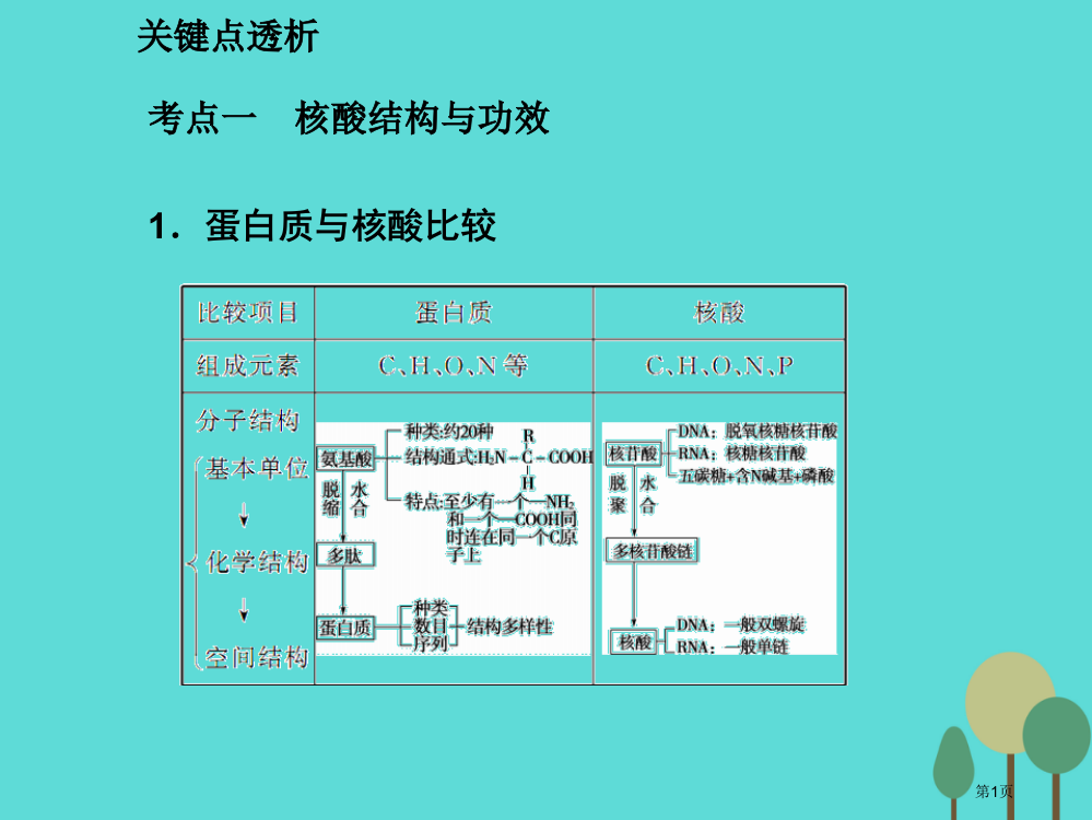 高考生物复习第1单元走近细胞和组成细胞的分子第4讲核酸糖类和脂质全国公开课一等奖百校联赛示范课赛课特