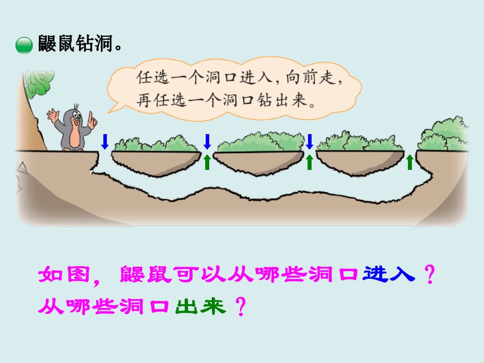 北师大版数学四年级上册数图形的学问ppt课件