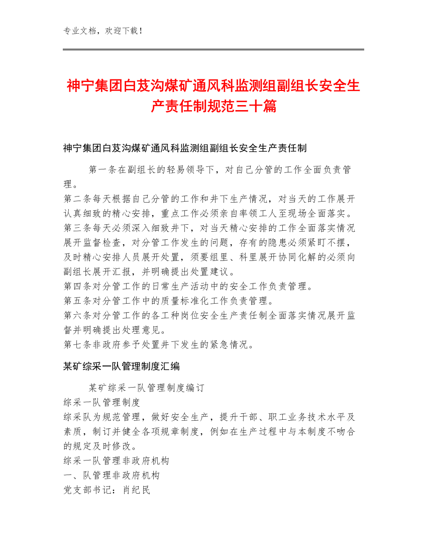 神宁集团白芨沟煤矿通风科监测组副组长安全生产责任制规范三十篇