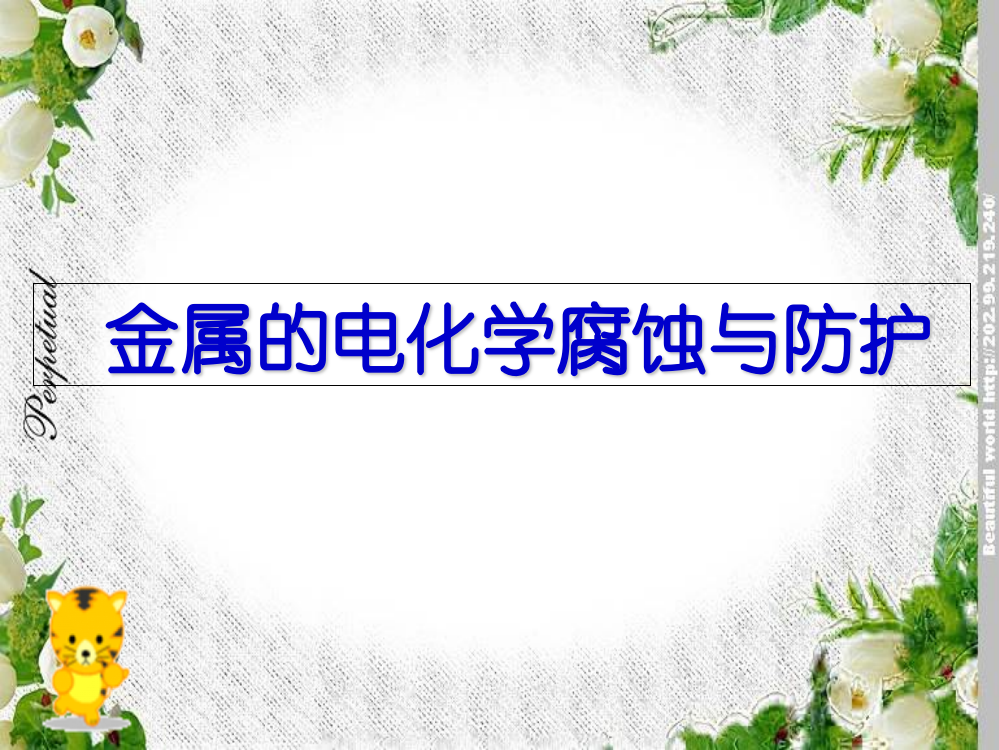 河北省邯郸四中高三化学《金属的电化学腐蚀与防护》课件