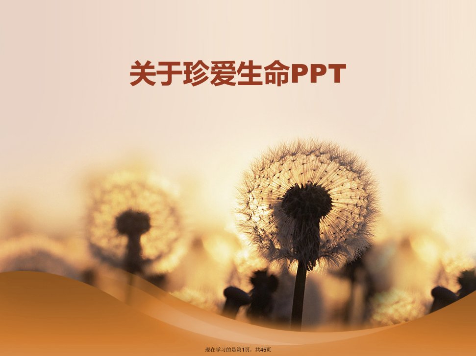 珍爱生命PPT课件