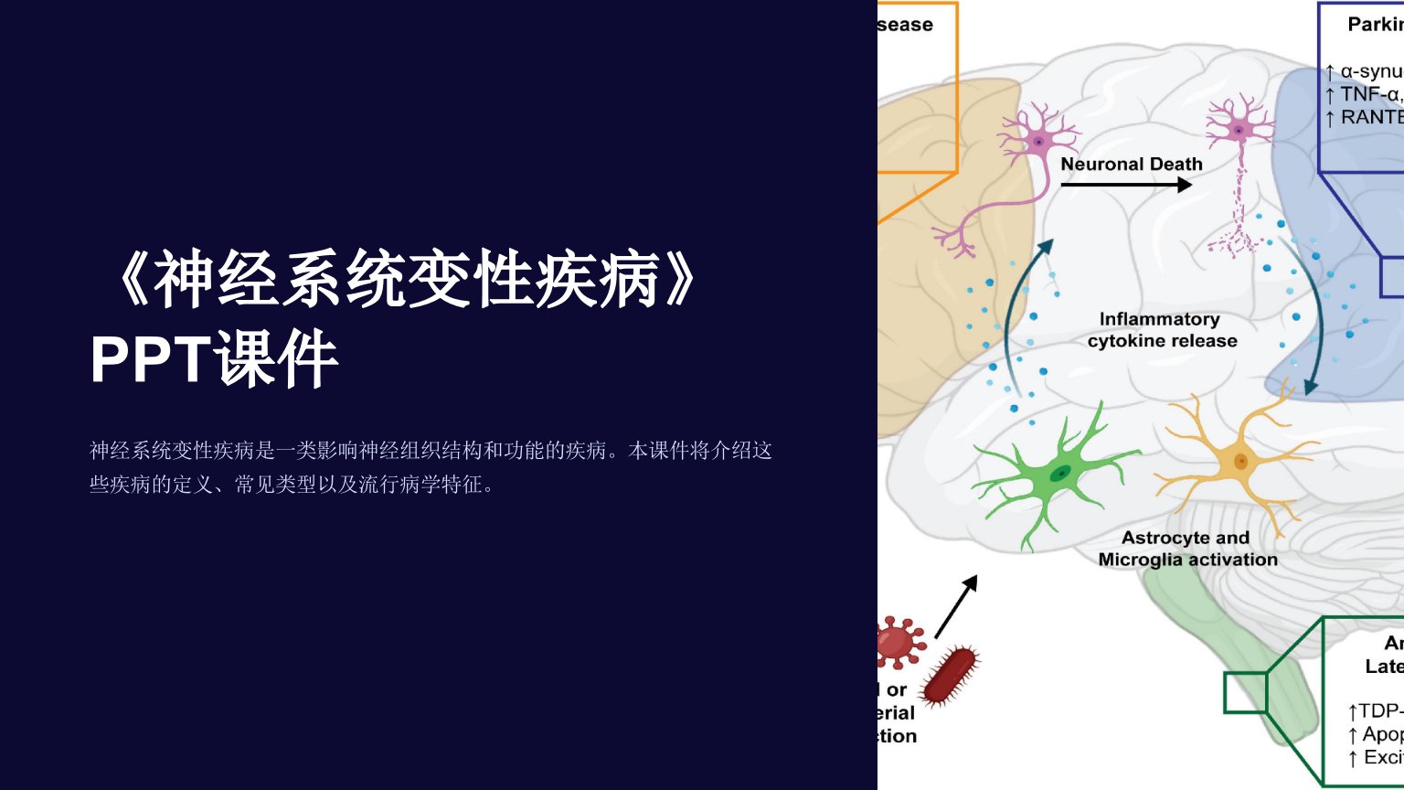 《神经系统变性疾病》课件