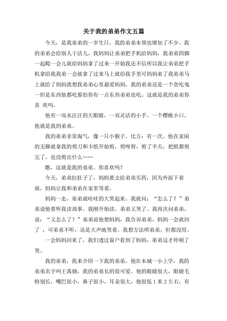 关于我的弟弟作文五篇