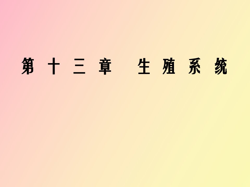 组胚生殖系统