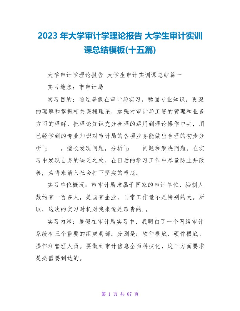 2023年大学审计学实践报告大学生审计实训课总结模板(十五篇)