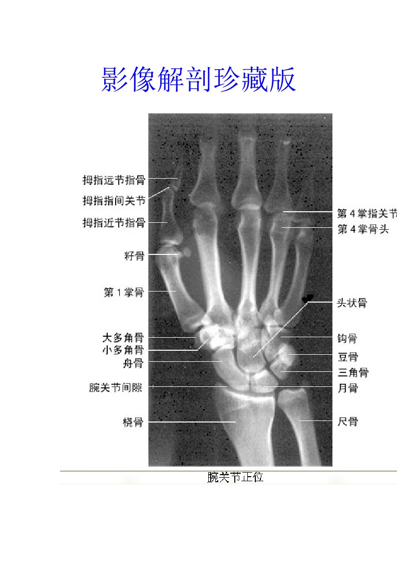 影像解剖影像图谱珍藏版