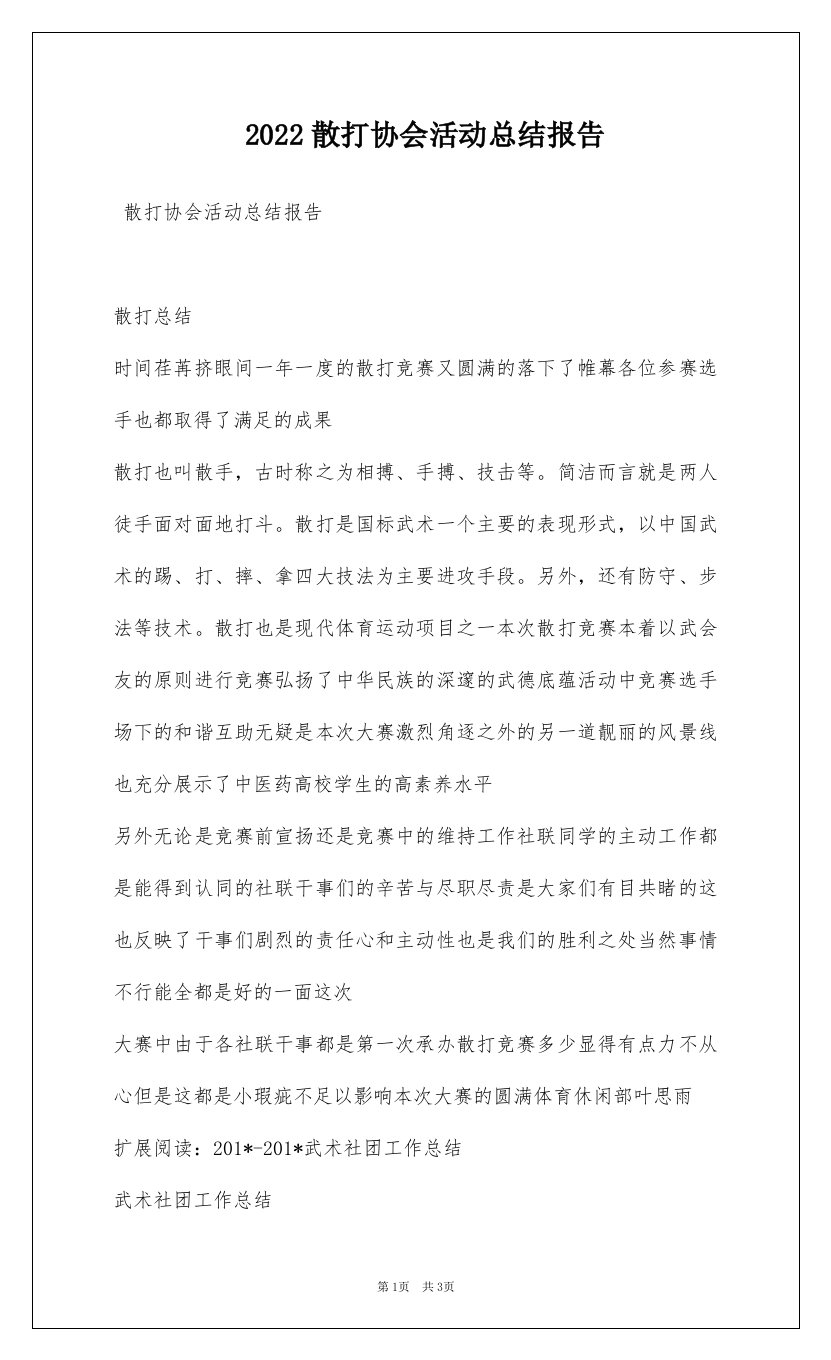 2022散打协会活动总结报告