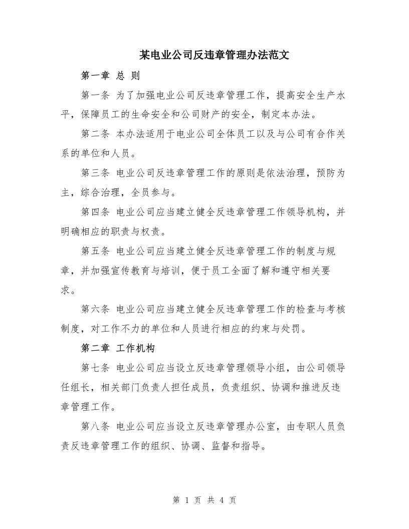 某电业公司反违章管理办法范文