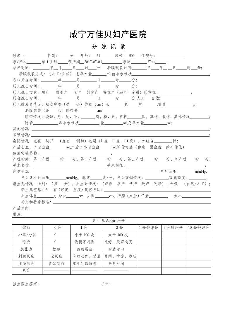 分娩记录模板