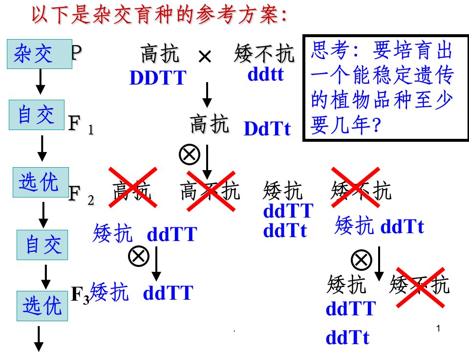 高三一轮复习完整从杂交育种到基因工程ppt课件