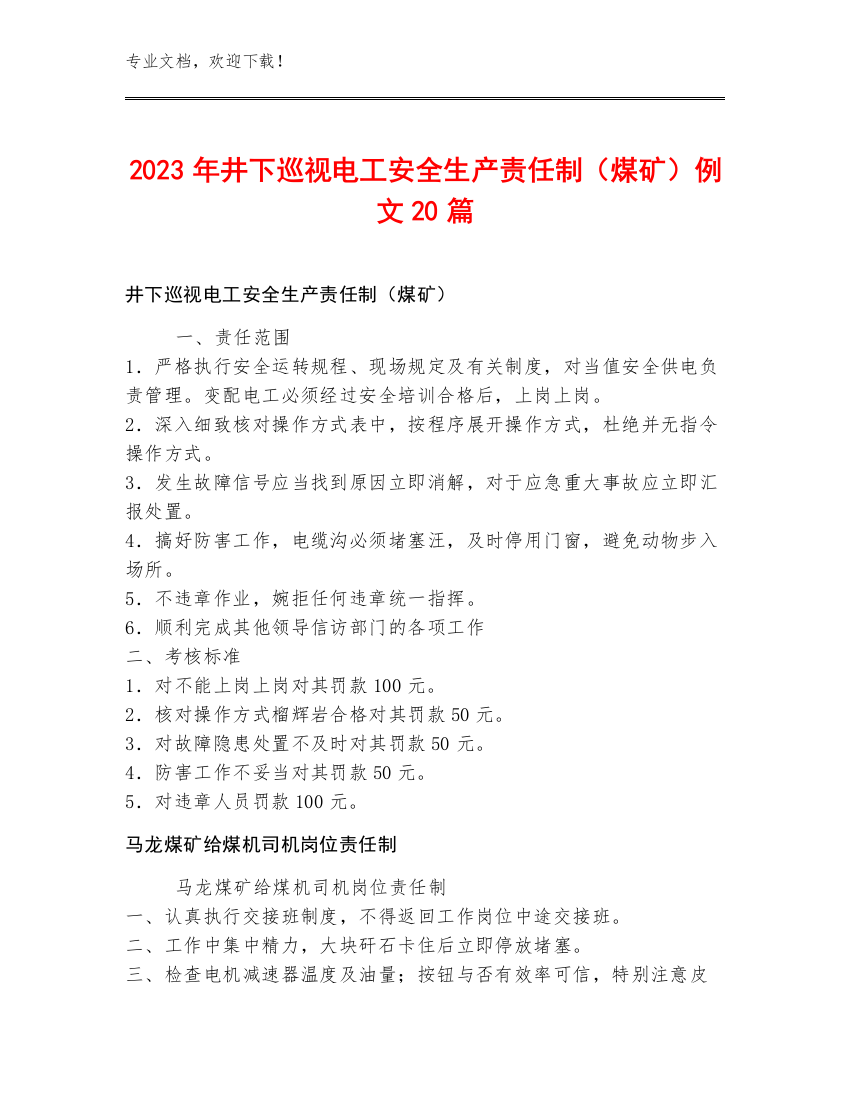 2023年井下巡视电工安全生产责任制（煤矿）例文20篇