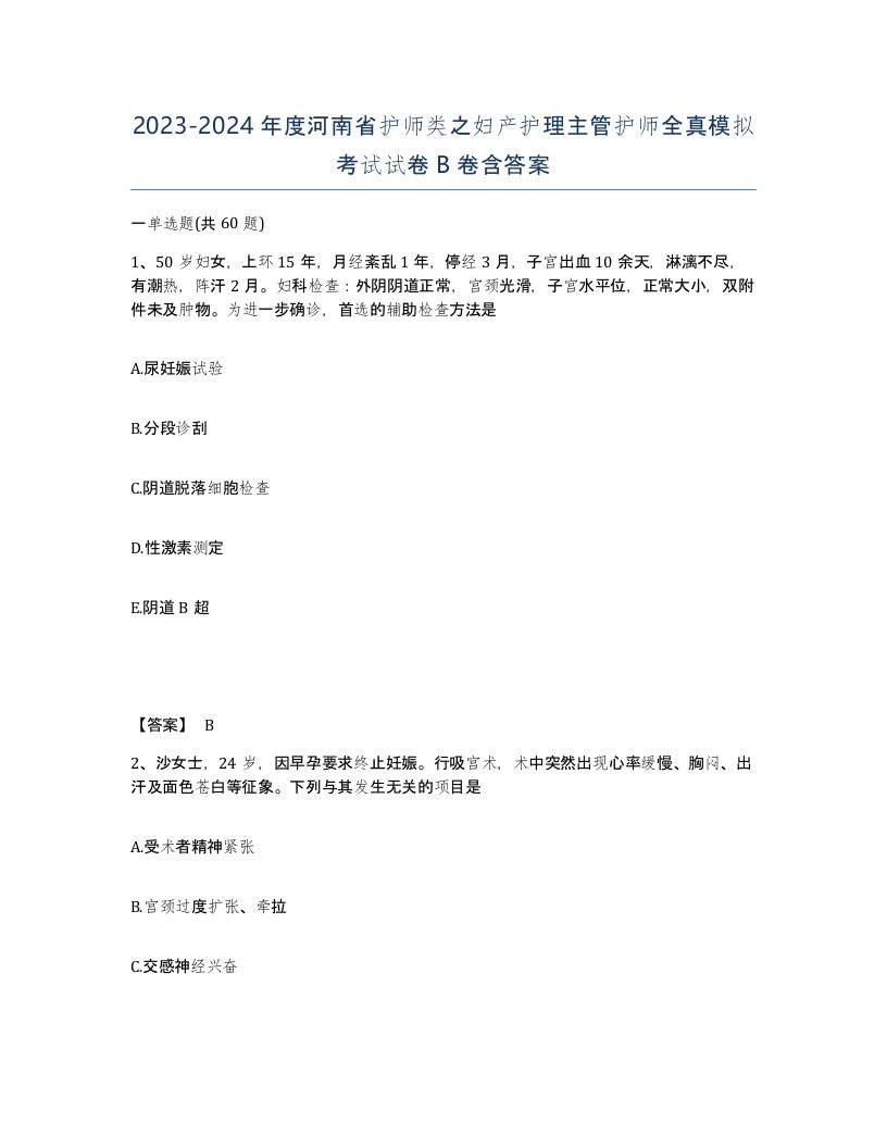 2023-2024年度河南省护师类之妇产护理主管护师全真模拟考试试卷B卷含答案