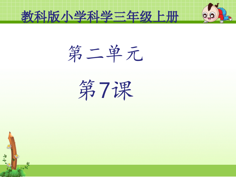 教科版三年级科学上册课件：《动物有哪些相同特点》课件——第2课时