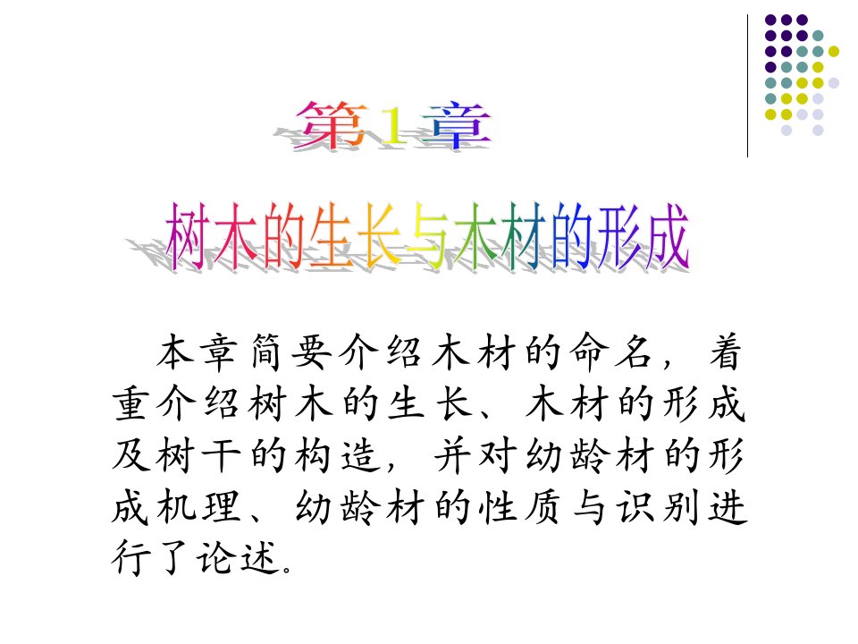 树木的生长和木材的形成过程