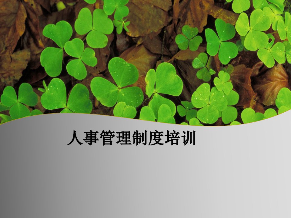 人事管理制度培训PPT（PPT36页)