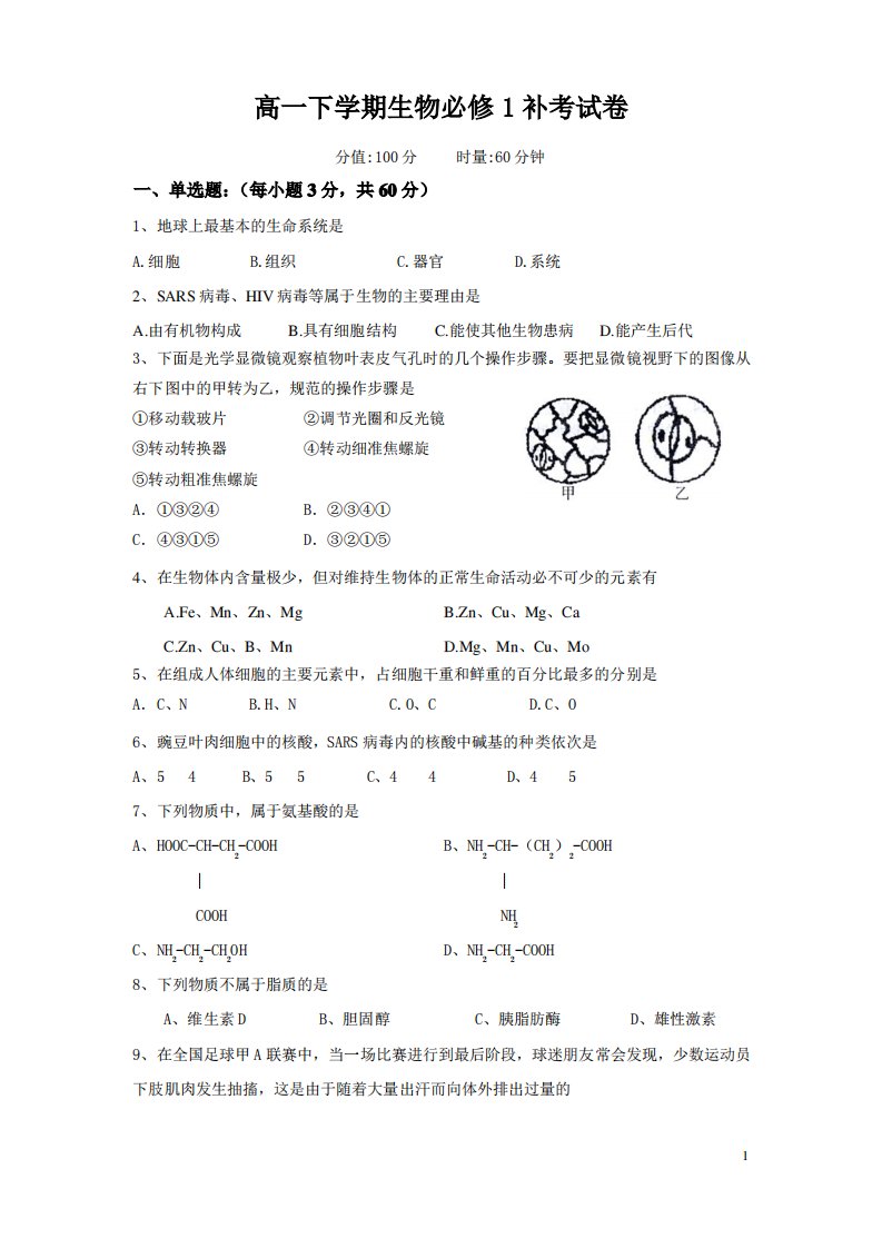 高一下学期生物必修1补考试卷