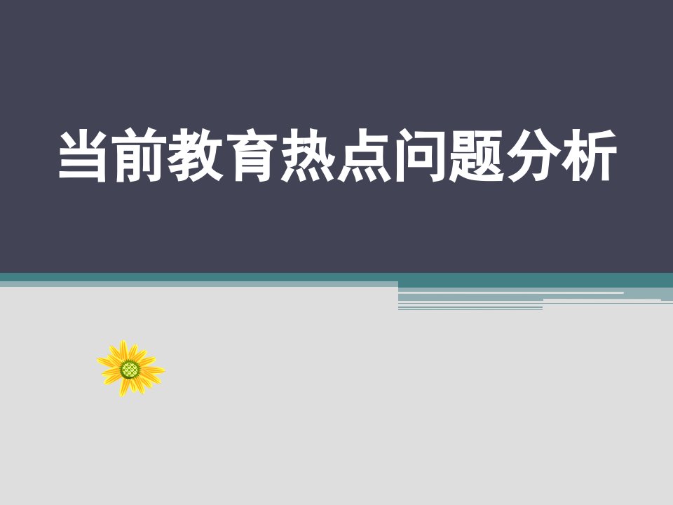 当前教育热点问题分析ppt课件