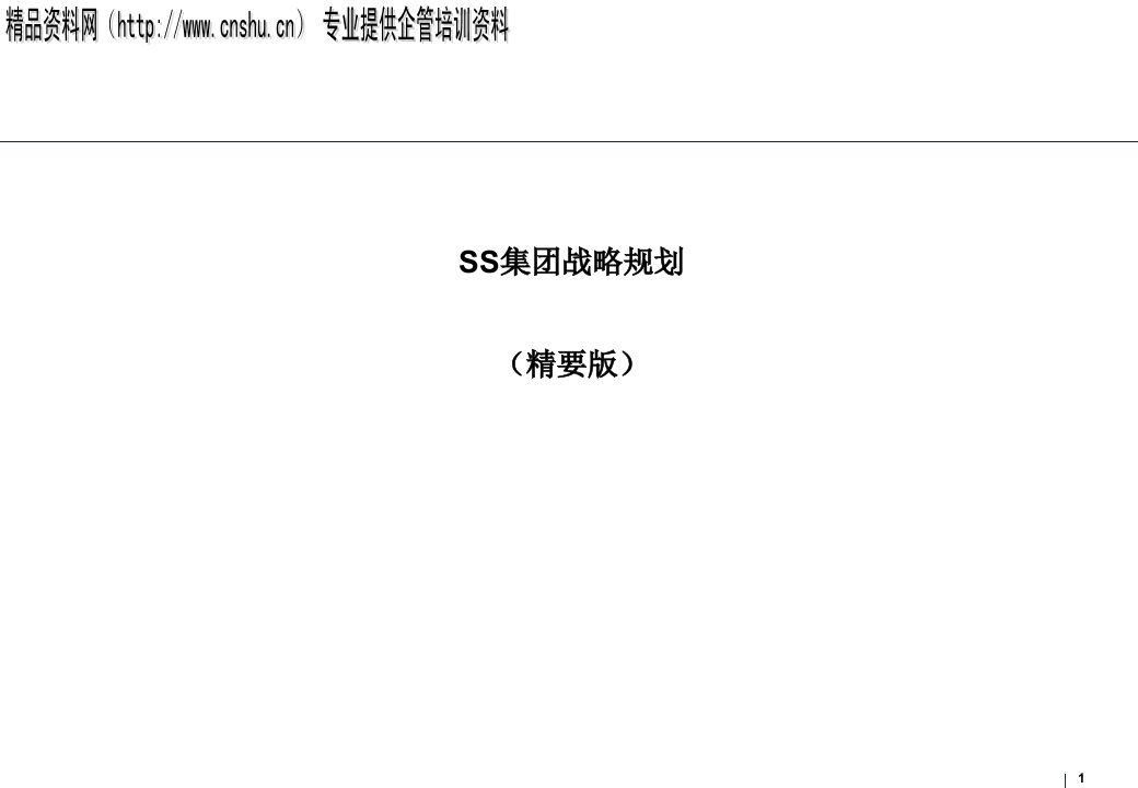 SS集团战略规划（PPT135页）