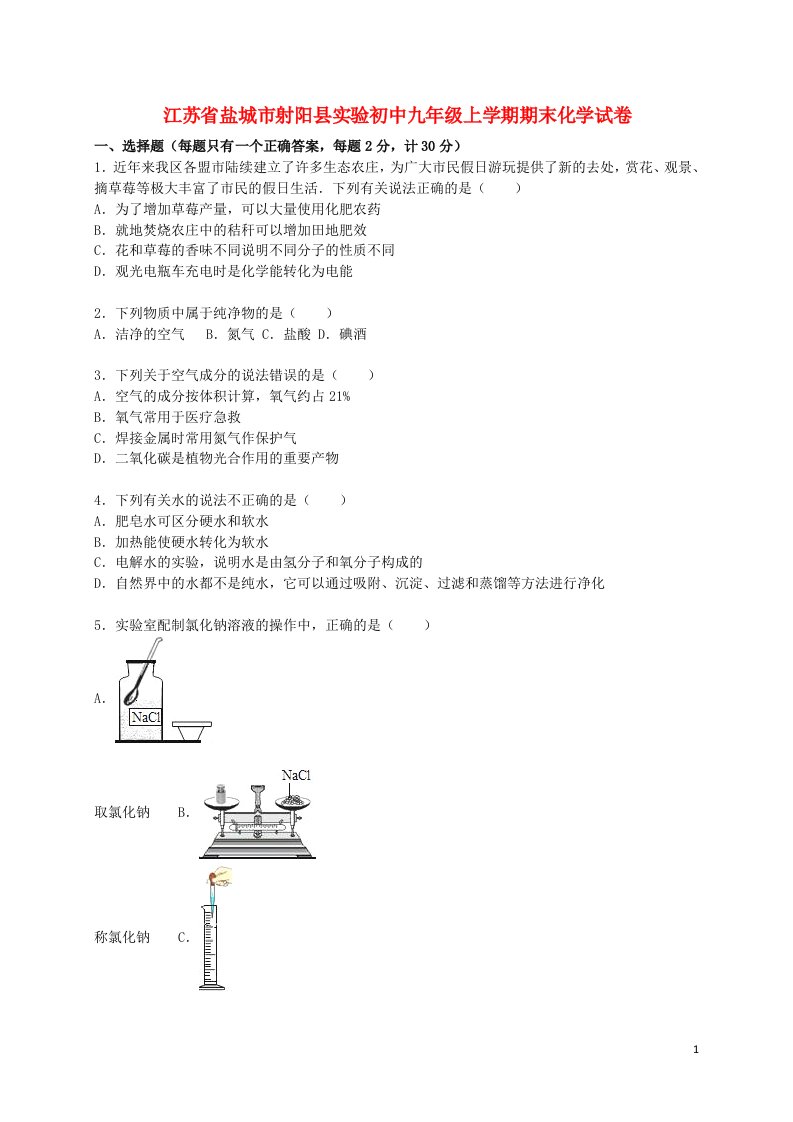 江苏省盐城市射阳县实验初中九级化学上学期期末试题（含解析）