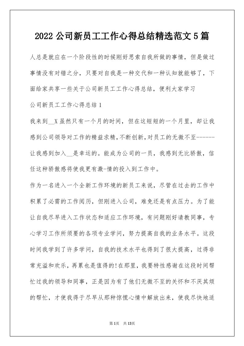 2022公司新员工工作心得总结精选范文5篇