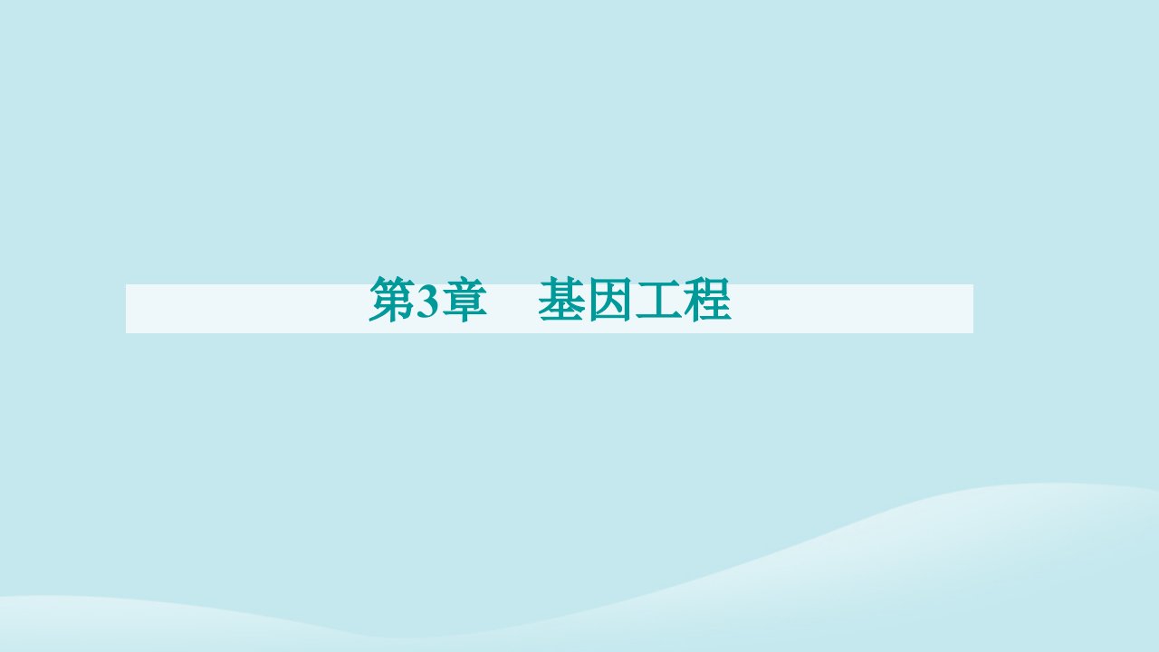 新教材2023高中生物第3章基因工程第1节重组DNA技术的基本工具课件新人教版选择性必修3