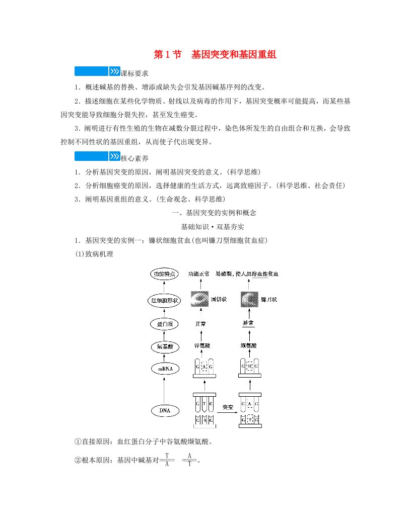 新教材适用2023_2024学年高中生物第5章基因突变及其他变异第1节基因突变和基因重组学案新人教版必修2