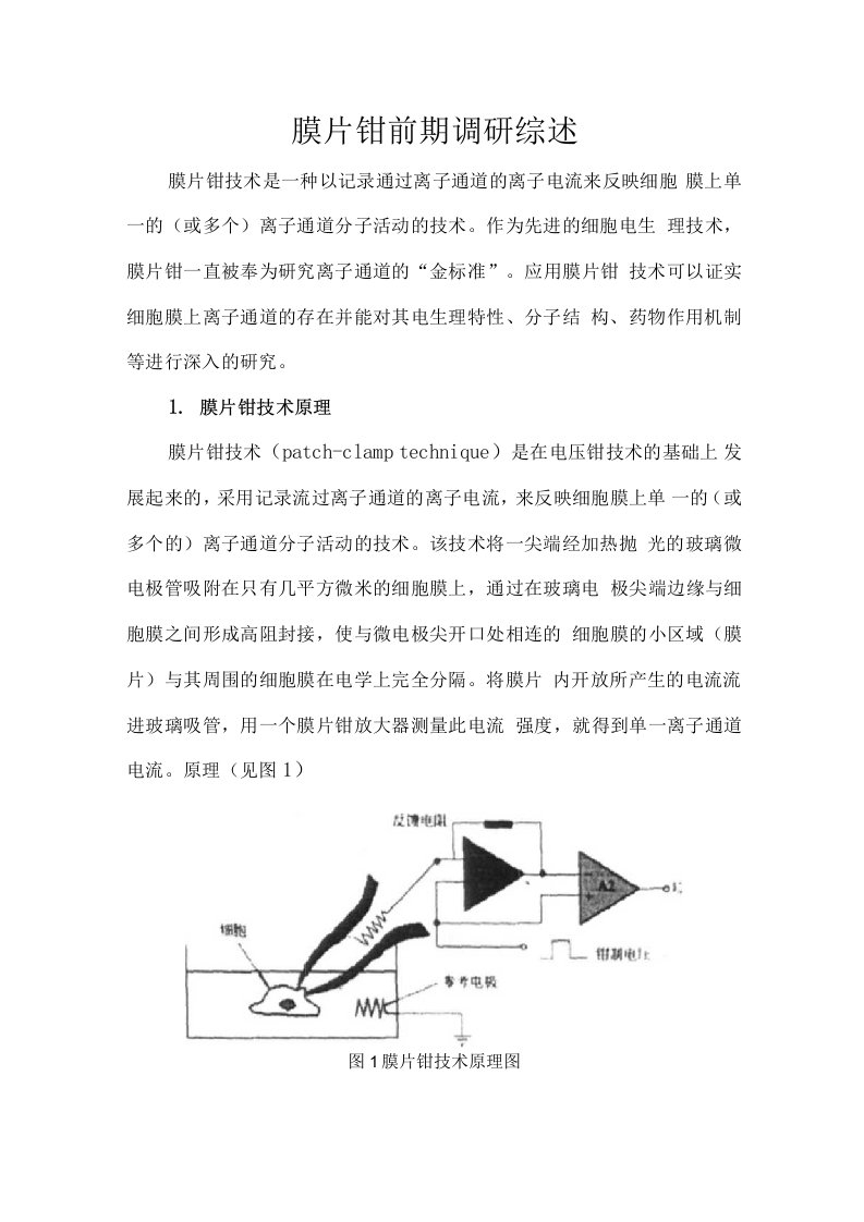 膜片钳前期调研综述