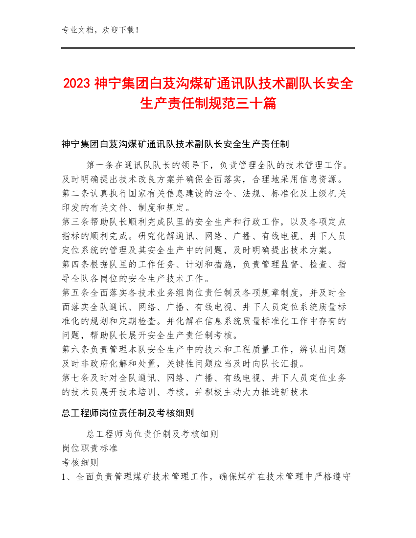 2023神宁集团白芨沟煤矿通讯队技术副队长安全生产责任制规范三十篇