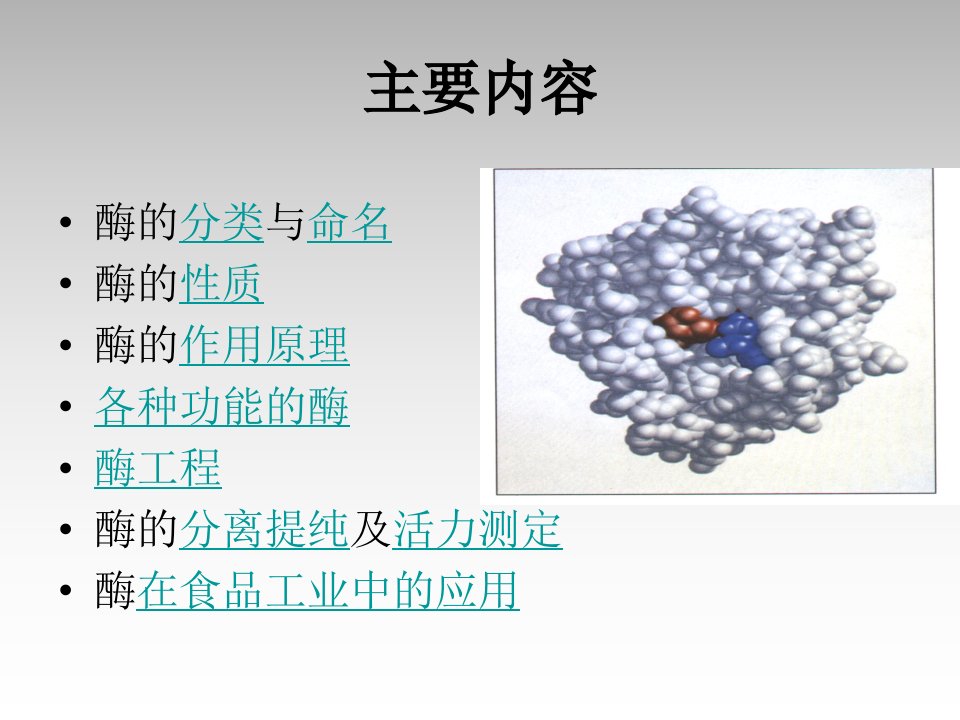 华南理工大学生物化学第5章酶