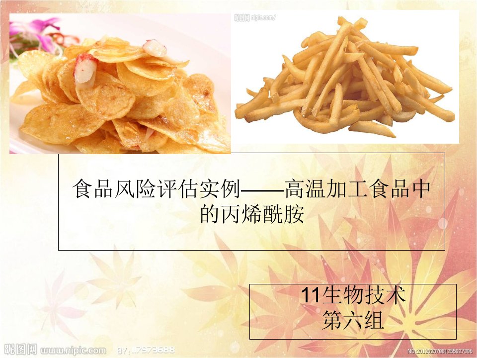 食品风险评估实例-高温加工食品中的丙烯酰胺