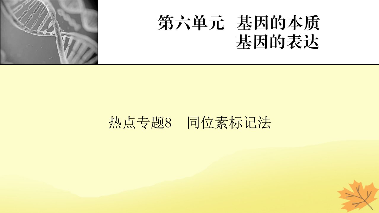 2023版高考生物一轮总复习热点专题8同位素标记法242课件