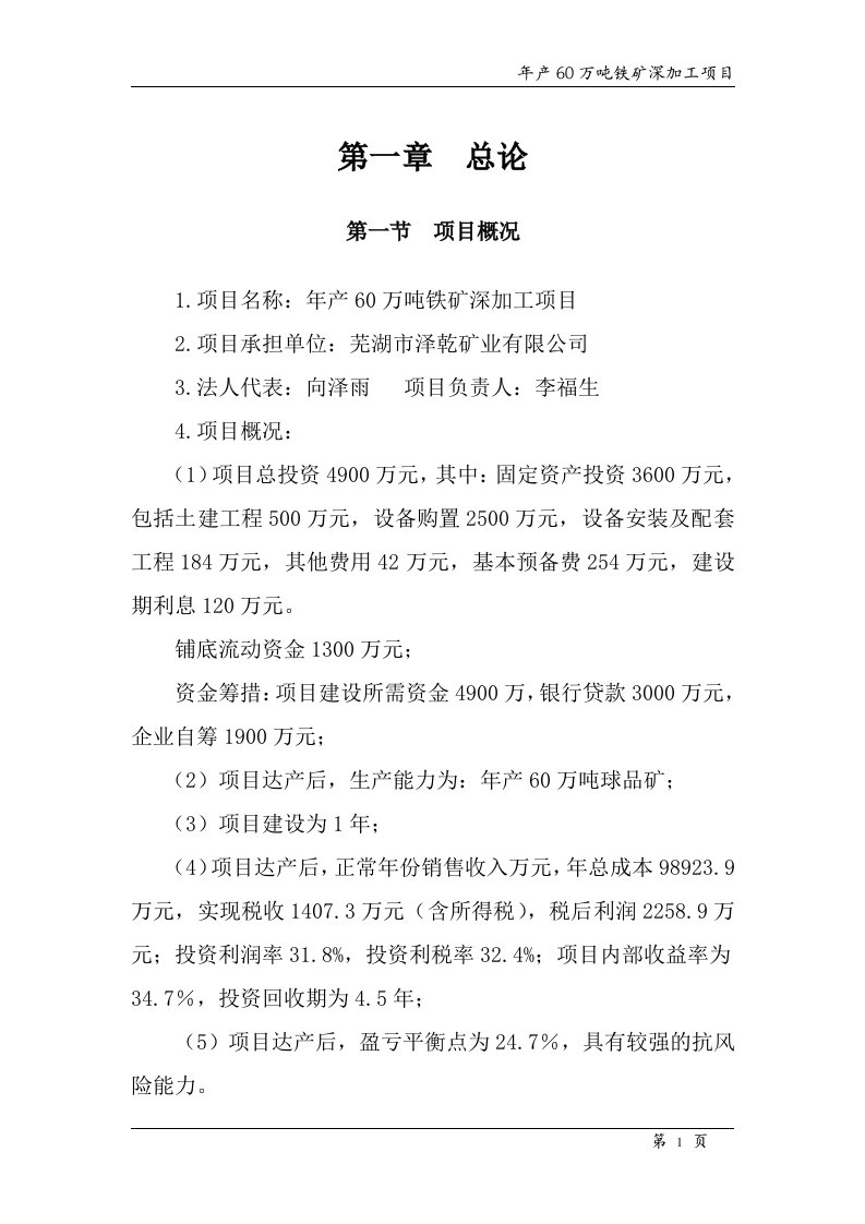 年产60万吨铁矿深加工项目可行性研究报告