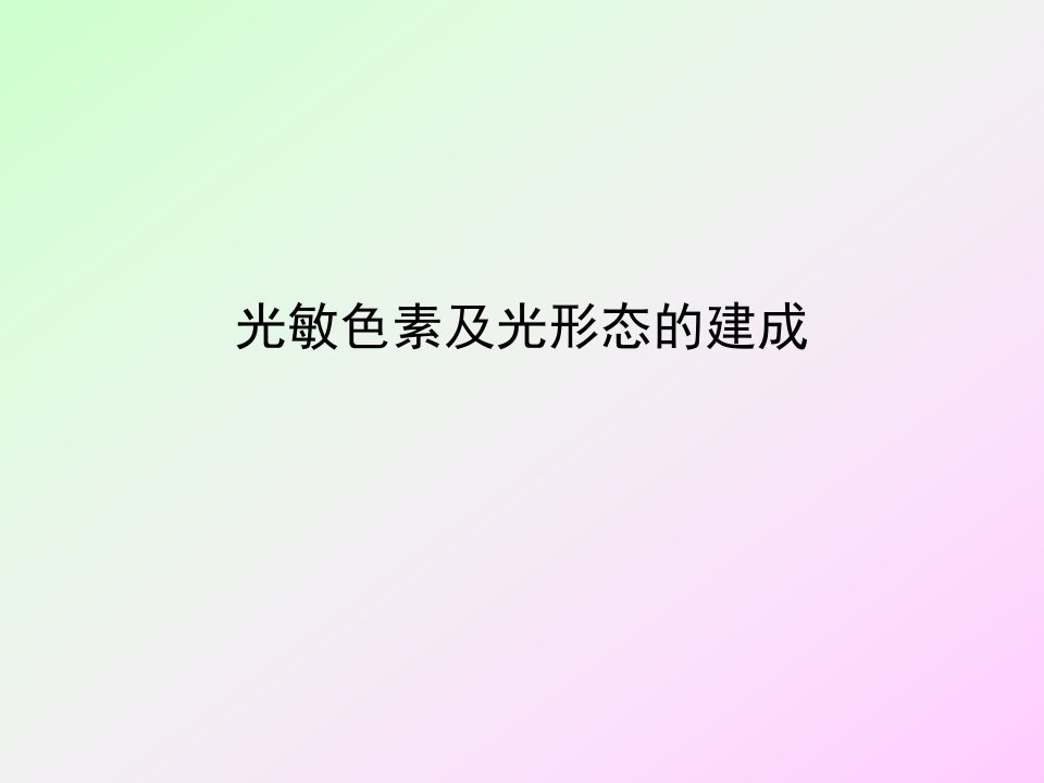 第二十三讲