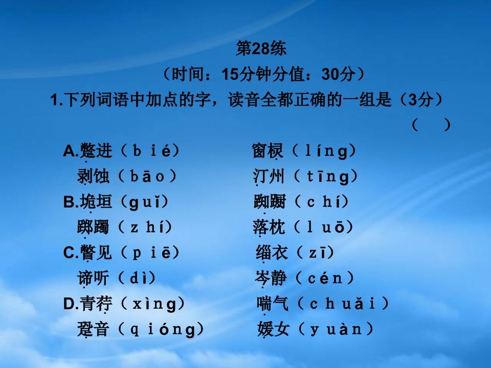 高三语文高考冲刺训练系列课件：十第28练新人教