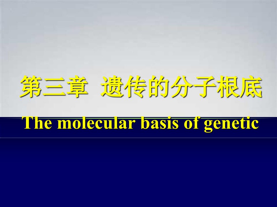 《遗传的分子基础》