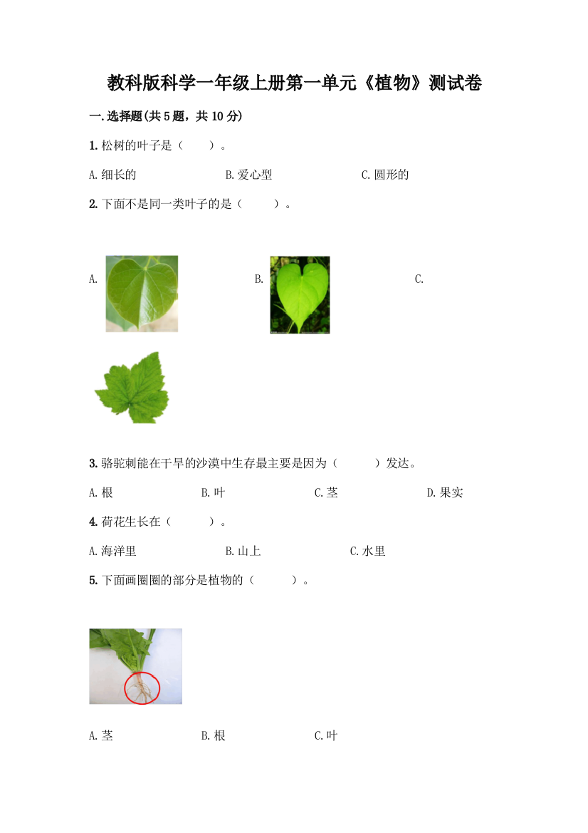 教科版科学一年级上册第一单元《植物》测试卷-精品(综合题)