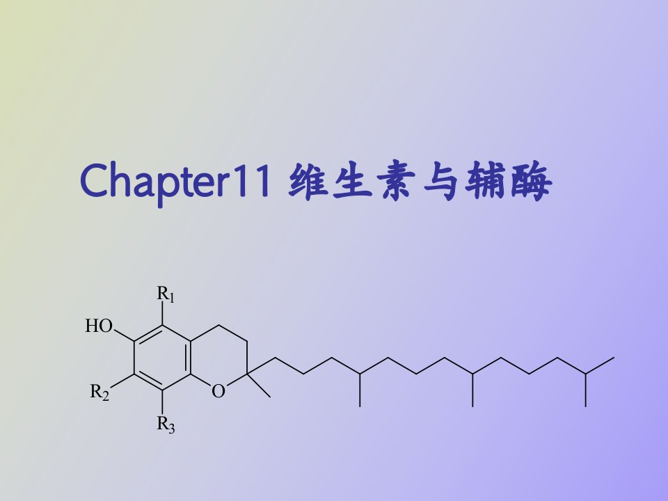 维生素与辅酶