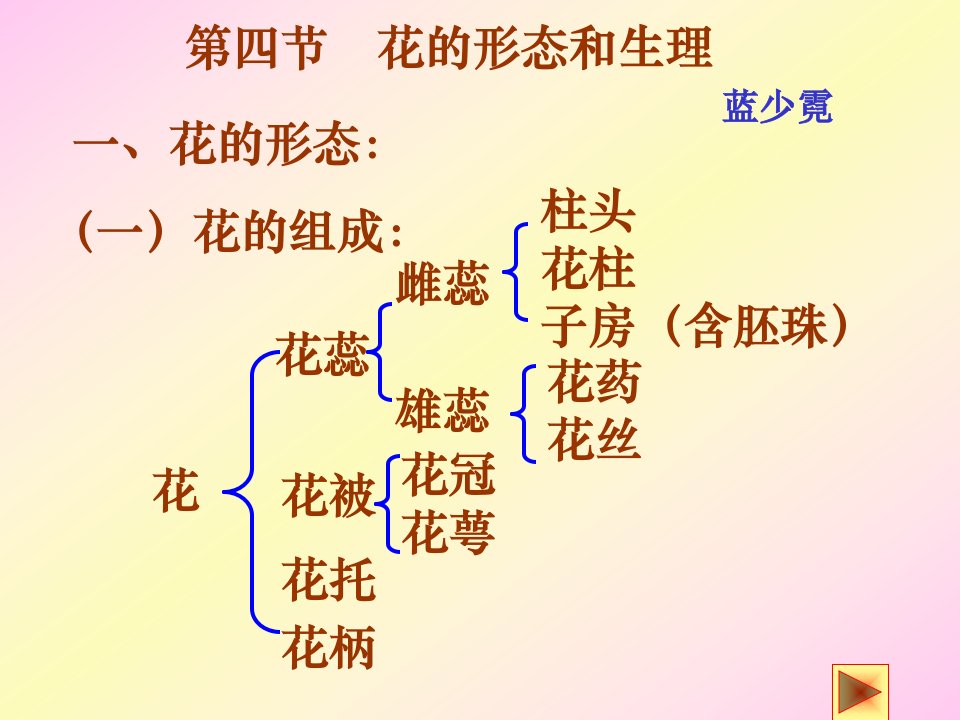 花的形态_蓝少霓