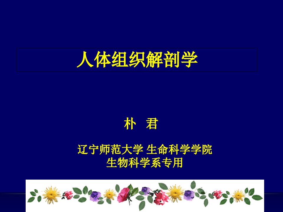 人体组织解剖学第一章绪论基本组织