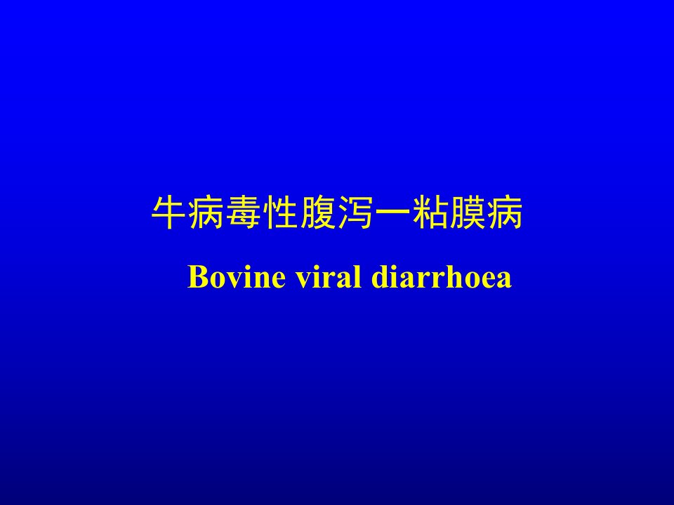 反刍动物传染病牛病毒性腹泻黏膜病教程文件