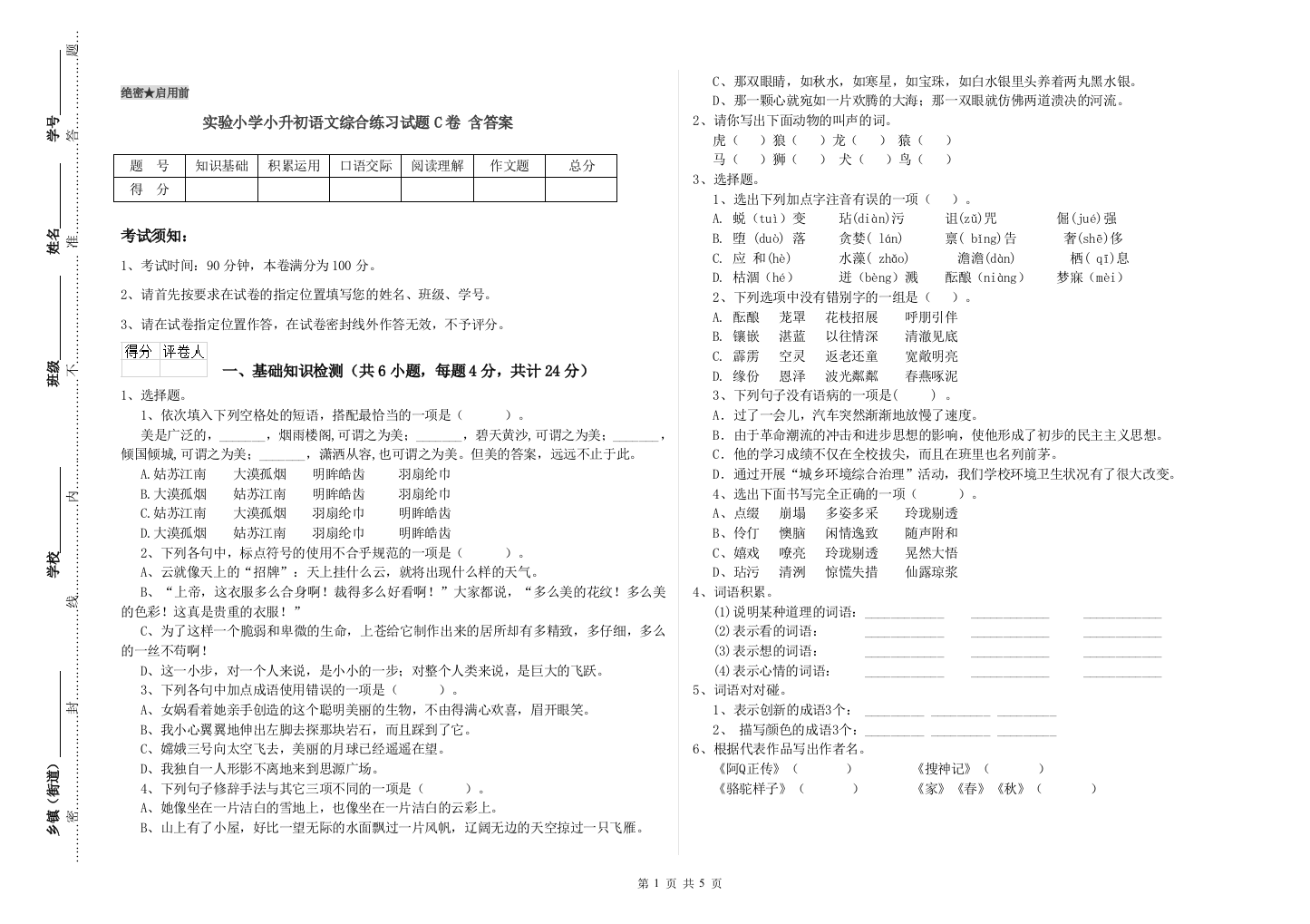 实验小学小升初语文综合练习试题C卷-含答案